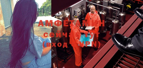 ГАЛЛЮЦИНОГЕННЫЕ ГРИБЫ Алзамай