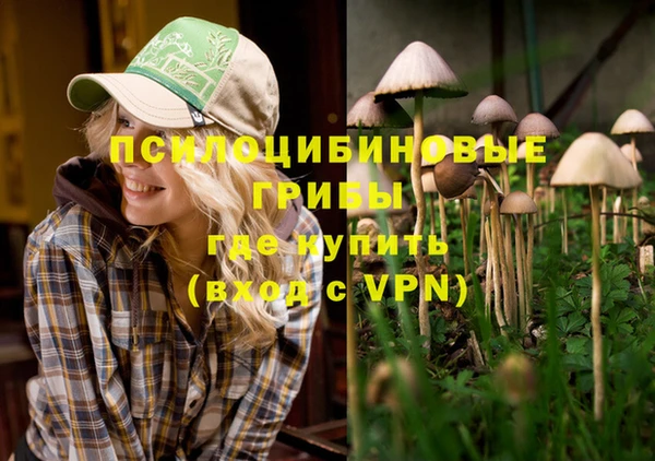 дурь Абинск