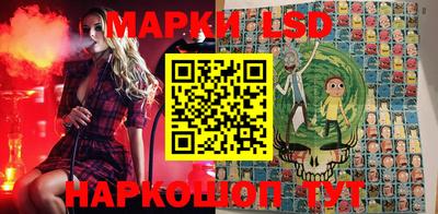 стафф Краснодар