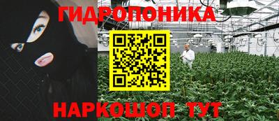 стафф Краснодар