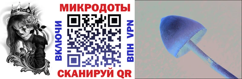 OMG как войти  Ефремов  Галлюциногенные грибы мицелий 