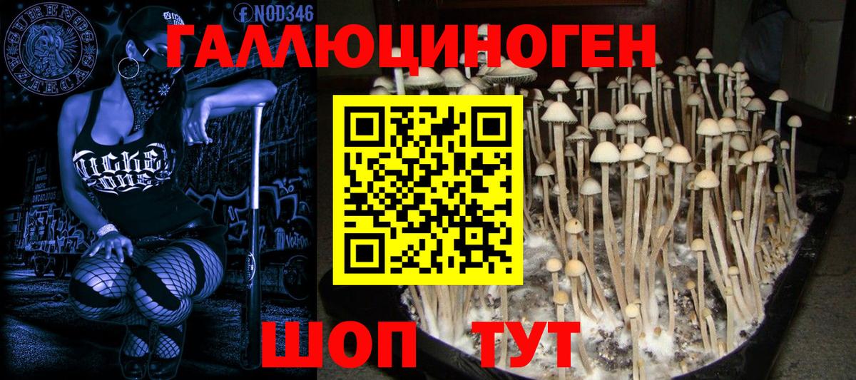Псилоцибиновые грибы MAGIC MUSHROOMS  Вход с VPN  где можно купить наркотик  Псилоцибиновые грибы Cubensis  Ефремов 