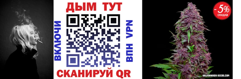 Конопля семена  мега как зайти  Ефремов 